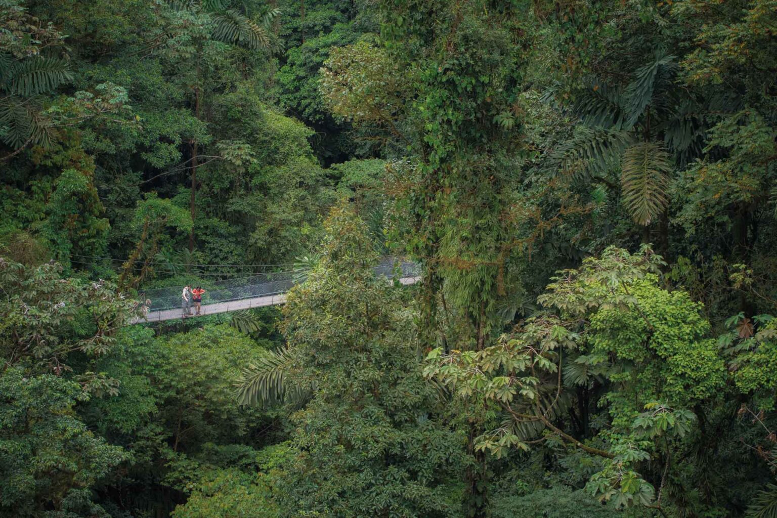 Místico Hanging Bridges