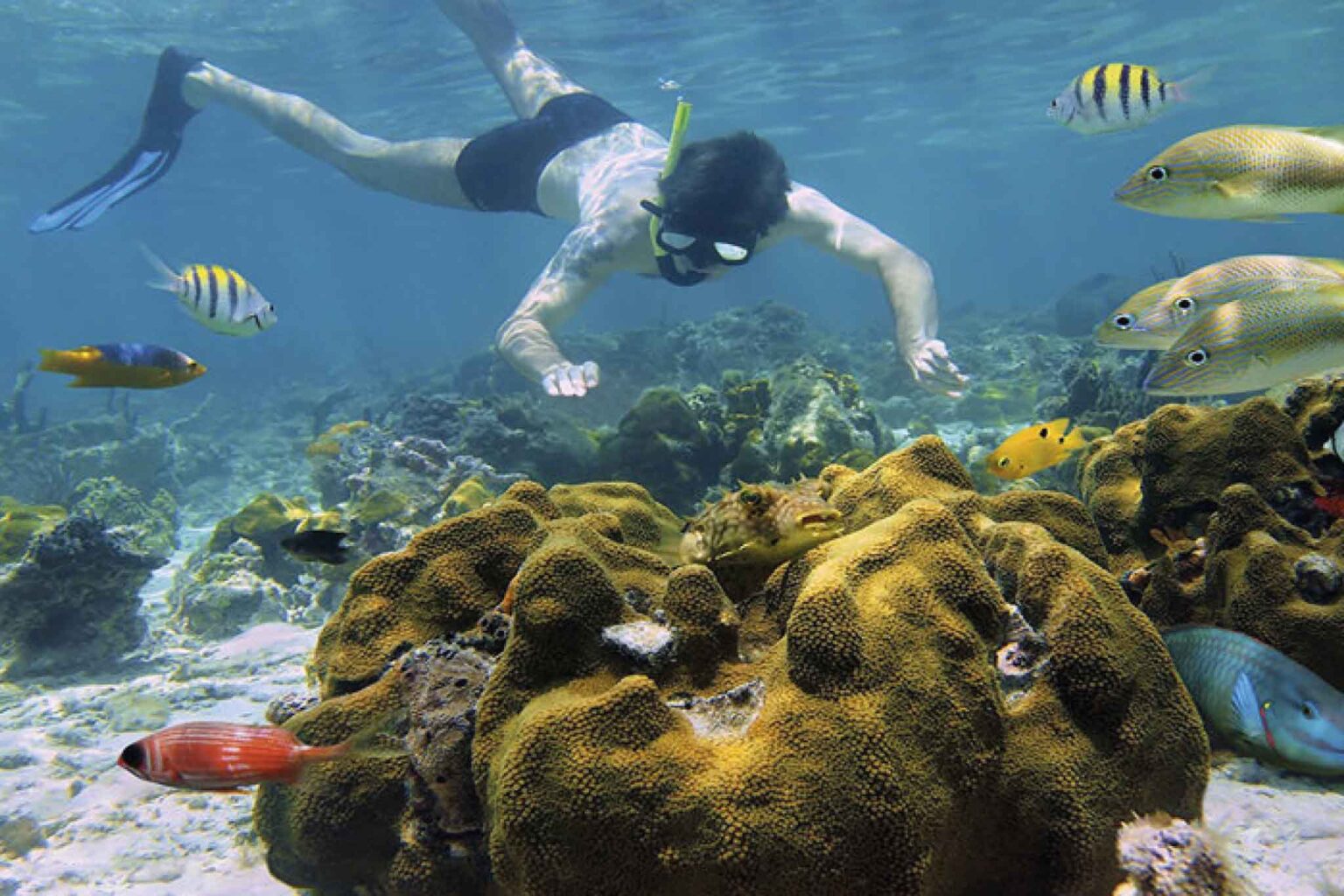 Cahuita Snorkeling & Rainforest Hike