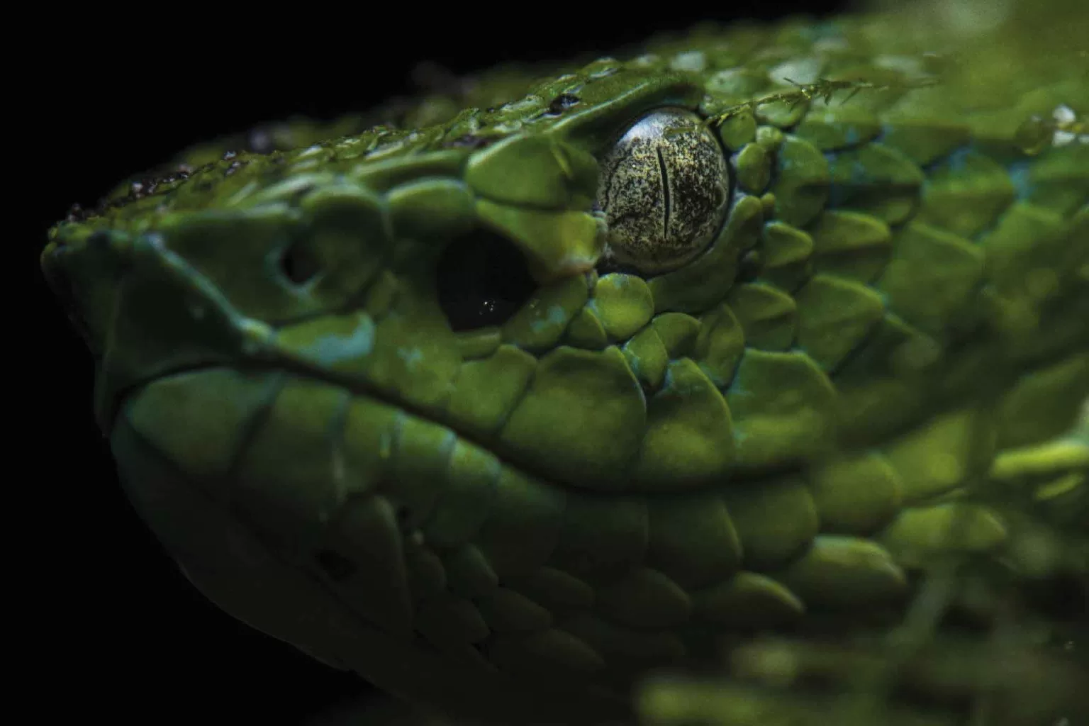 Excursión nocturna a El Refugio