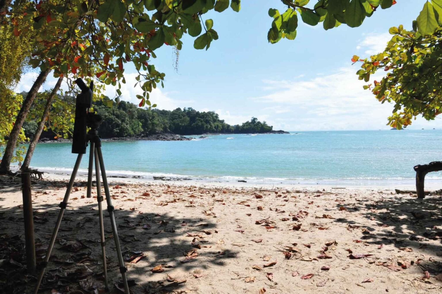 Manuel Antonio National Park