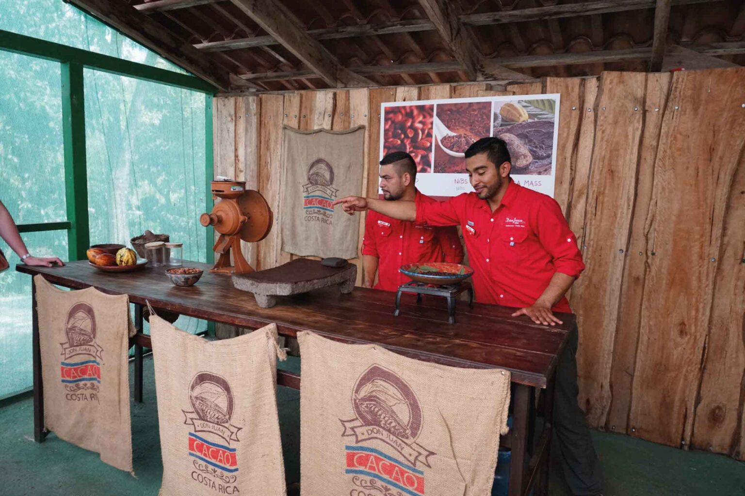 Monteverde Coffee, Cacao & Sugarcane Tour
