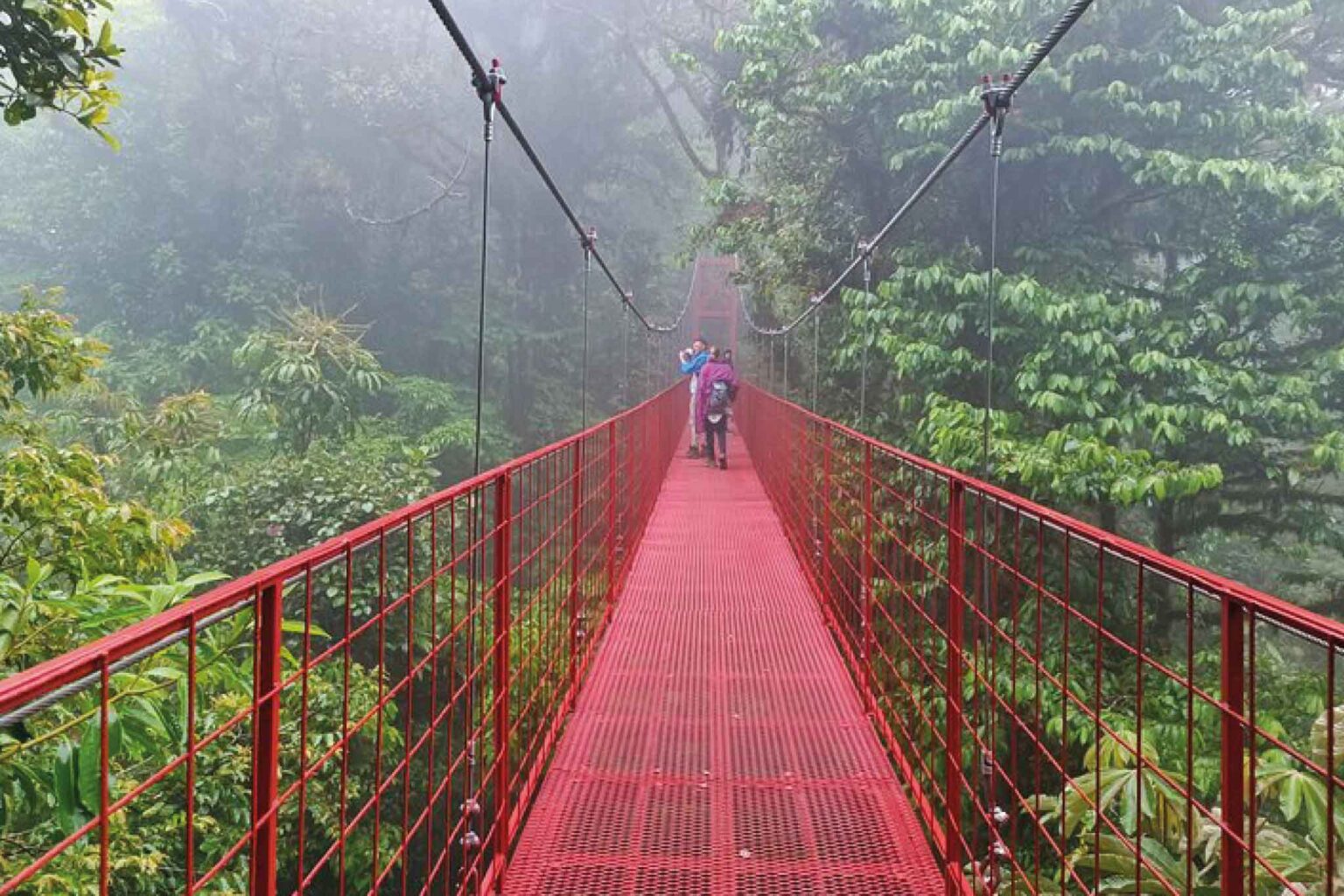 Monteverde Guided Hike Cloud Forest