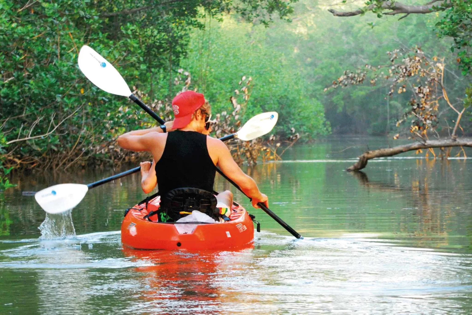 Kayak de mar y caminata por la selva de Punta Uva