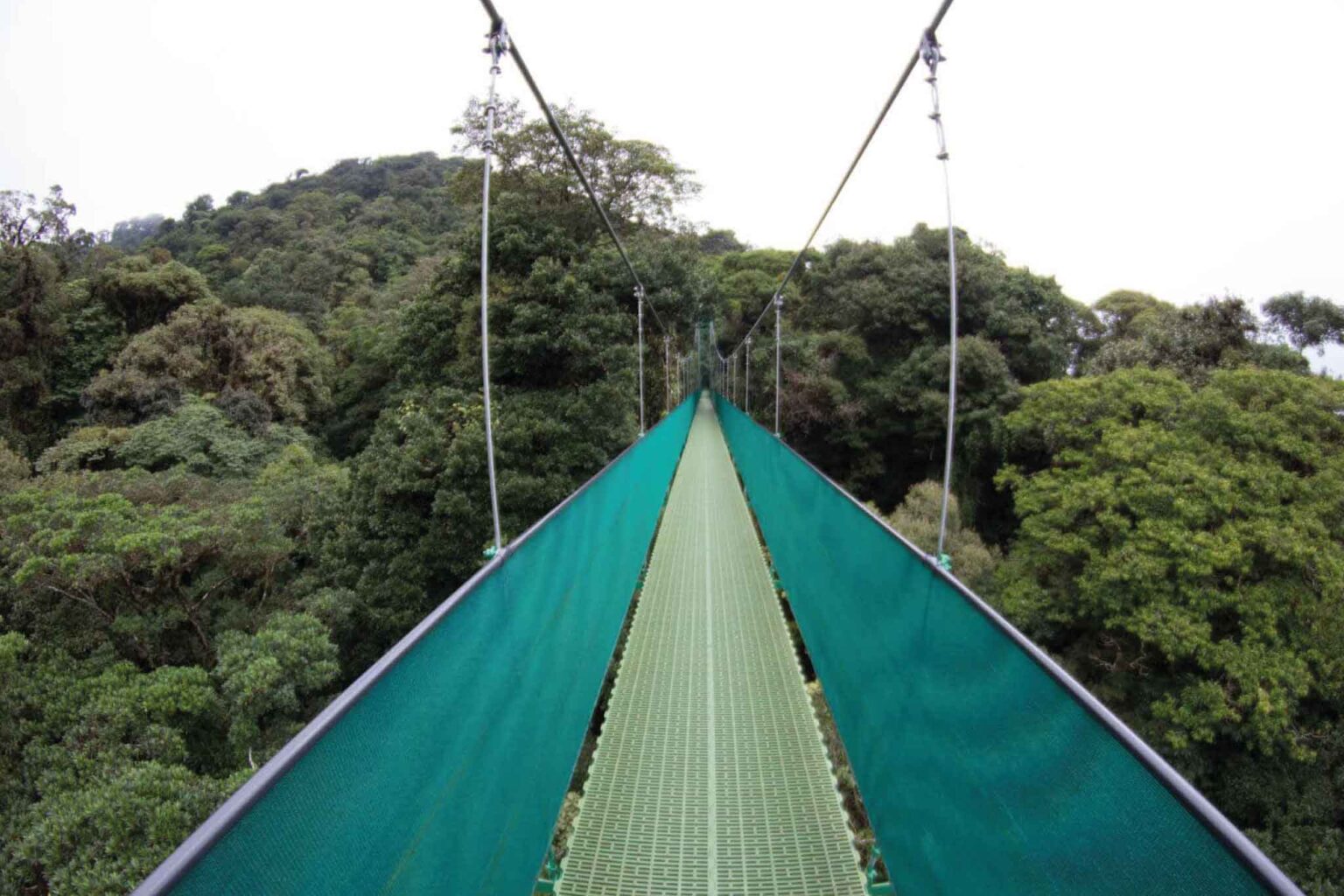 Monteverde Sky Walk + Tram + Trek